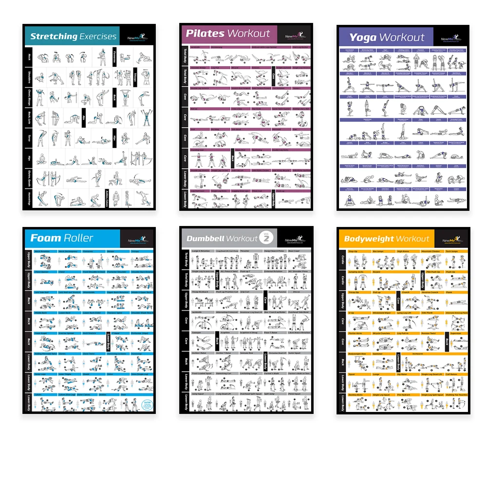 Body Exercise Training Chart W - Sports Equipment Poster review and price